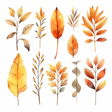 Watercolour, autumn, boho, bokeh, individual, floral, leaf, bloomcore, clipart