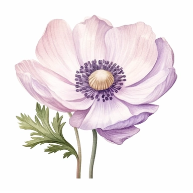 Anemone flower, high level watercolor, hyper realistic cartoon, clipart, white background, 8k, ultra detailed clipart