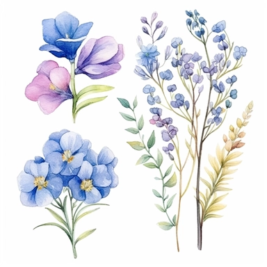 Design a captivating hand-drawn watercolor clip art image featuring a family gift niche adorned with birth flowers. Customize the image for a family of six: a January baby (Snowdrop), a May baby (Hawthorn), a July baby (Delphinium), a September baby (Morning Glory), an October baby (Cosmos), and a December baby (Narcissus). Add a gentle watercolor texture to the background, giving the image a vintage and artistic feel.