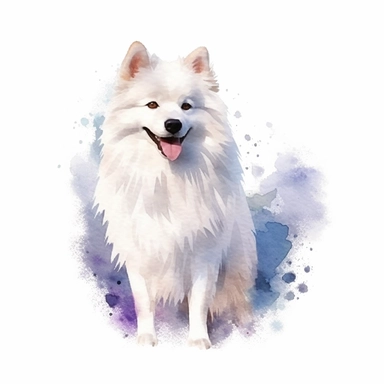 American Eskimo Dog dog, water color style, clipart, white background
