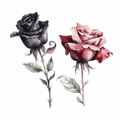 watercolor A clip art 2 set of images featuring gothic roses isolated white background, minimalist, 8K