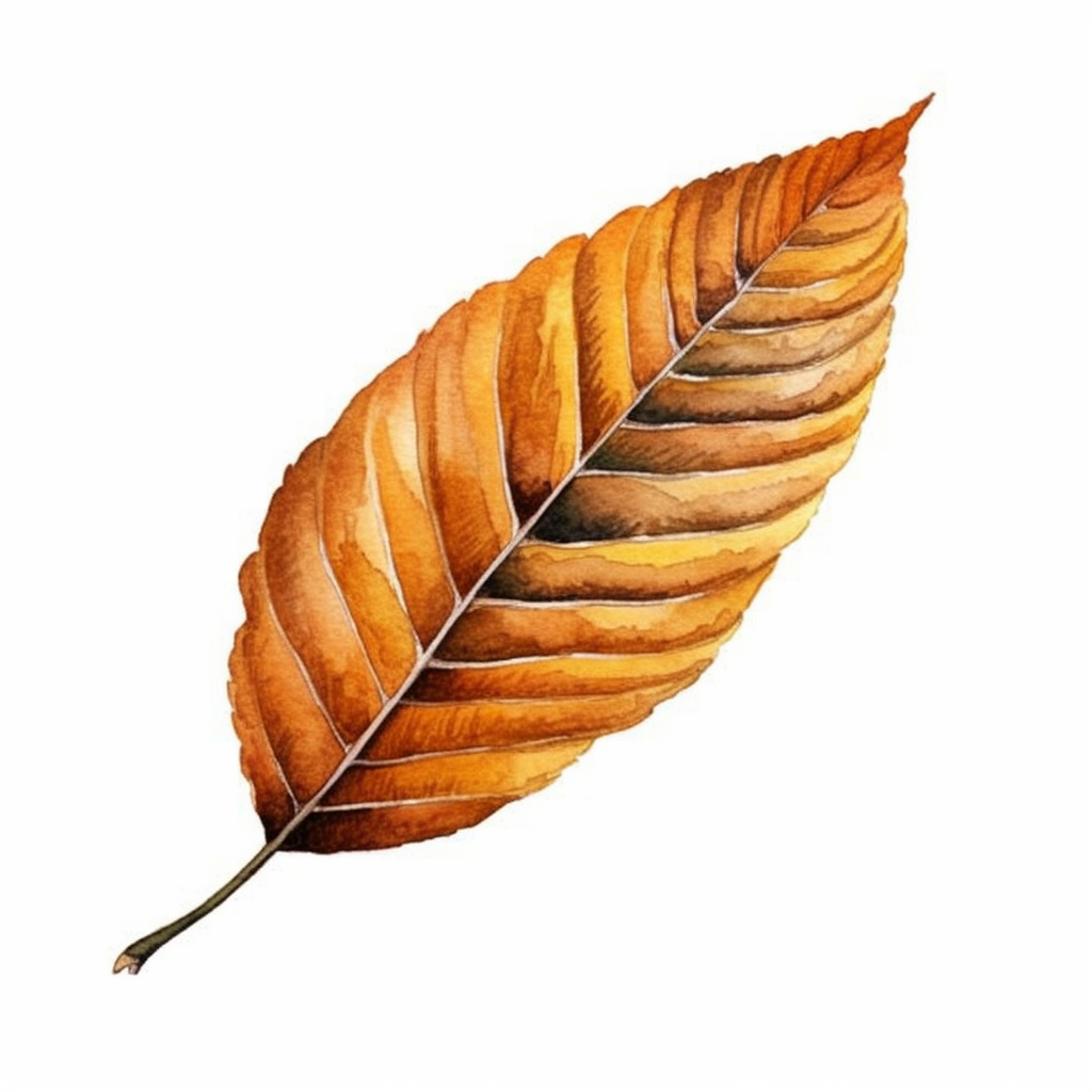 free leaf clipart