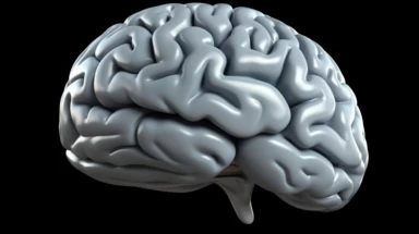 A 3D clipart image of a human brain, simplified and stylized for easy understanding. Ideal for application in various educational contexts.