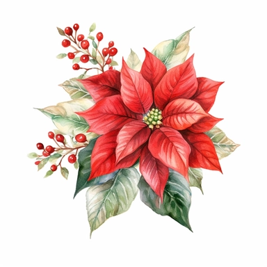 vector watercolor cute vintage Christmas poinsettia Christmas decor, intricate design, clipart on white background, fall, Christmas poinsettia style decor, red and green, photorealistic, ultrarealistic, no background, on whit
