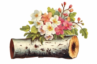 Vintage 1920 detailed Birch Tree Trunk With Flowers Illustration, Chromolithograph, Die Cut, 1920s Illustration, Vintage, Chromolithograph, Colorful, Antique, Ephemera, Clipart, 8k, Isolated on white