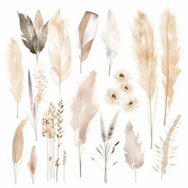 Watercolor Boho Flower Clipart. Pampas grass clipart. Dry Plants Clipart. Elegant Bohemian Wedding clipart. Neutral decor separated on a white background