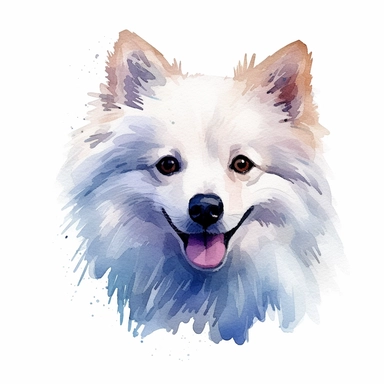 American Eskimo Dog dog, water color style, clipart, white background