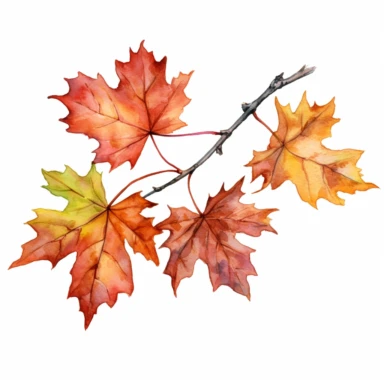 clipart, maple leaf branch abundant,details,watercolor