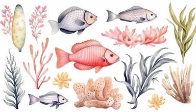 Watercolor clipart seabed pastel colors, with coral, algae, tropical fish, minimalist style on white background