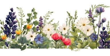 Pressed boho cottagecore snapdragon, cosmos, lupine, anemone and columbine floral border wildflowers with green foliages floral nature garden border, clipart with white background