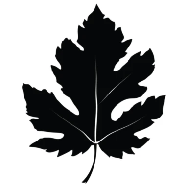 black silhouette leaf clipart