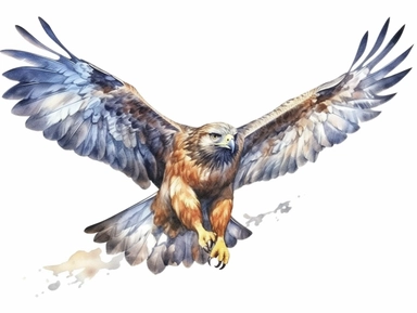 Hawk flying Watercolor isolated on white background, Watercolor Clipart painting, high quality, HD, children's book illustrations, realistic lifelike figures, white background