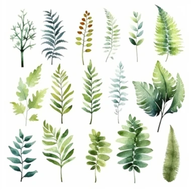 set of cute watercolors Fern Plant for kids book, white backgroun, clipart, clean and crisp
