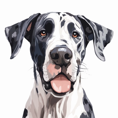 clipart of a happy great dane, americana style, portrait, white background, vector style
