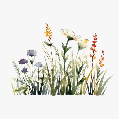 clean minimalistic wildflowers watercolor flower painting, in the style of watercolor landscapes, romantic and nostalgic themes, highly detailed and defined brush strokes of each stalk and grass and buds skillful clipart clean white background high contrast 16k resolution dark outlines