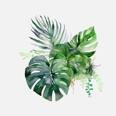 leave, lovely looking, tropical, include green, summer vibe, 4k, professional sketch, water colors, clipart, solid background