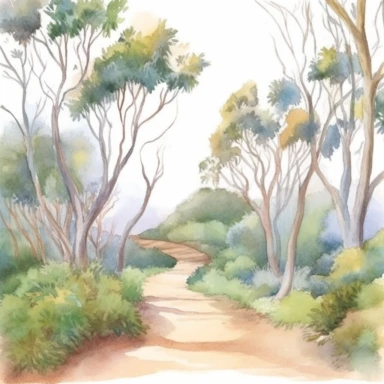 watercolour clipart of a pathway leading into heavy bush walk, serene, peaceful, wanderlust