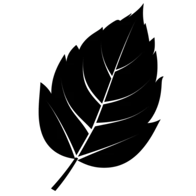 black silhouette leaf clipart