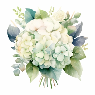 watercolor collection clipart wedding bouquet white creme hydrangeas eucalyptus decent colors no background
