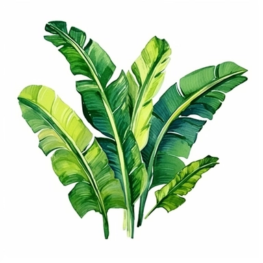 Clip art style vivid colors bold lines solid white background isolated object watercolor style green banana leaves