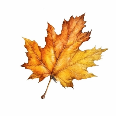 Autumn Leaf in Watercolor hyper-realistic detailed illustrations, elegant water ink brush strokes techniques, delicate markings, monochromatic paintings, free brushwork, watercolor illustrations, painted illustrations Clipart, White Background Clipart, White Background