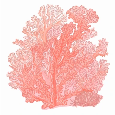 coral in the style of lilly pulitzer isolated on a white background, clipart