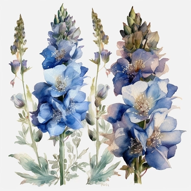 watercolor clipart blue delphiniums