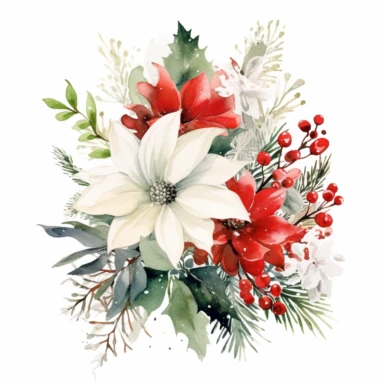 delicate floral watercolor christmas holiday greenery large full bouquets detailed clipart on white background. hand painted intricate. vibrant red and green festive colors.