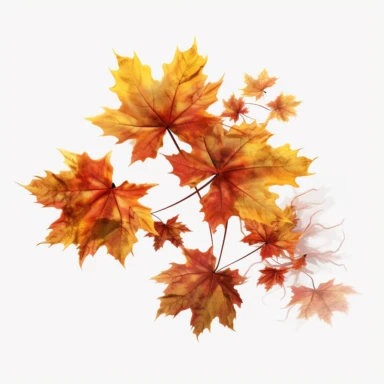 Maple autumn leaves and branches, Clipart, white isolated background, space out, hd, 8k, realistic