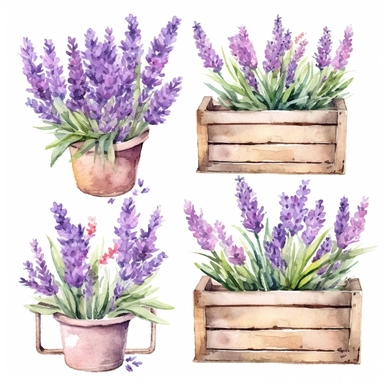different types of watercolor lavender-colored flowers growing out of a flower box, lavender flower wooden box, watercolor lavender garden Clipart, secret garden theme, Provence floral spring, each image must be on a white background with margins, each image must be separated by a margin, single design clip art 8k, s750