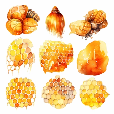 watercolor clipart of beautiful honey combs