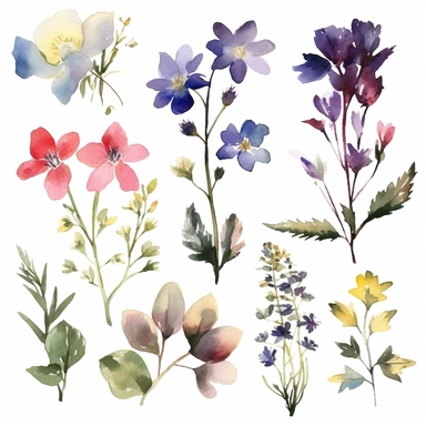 america wild flower clip art watercolors