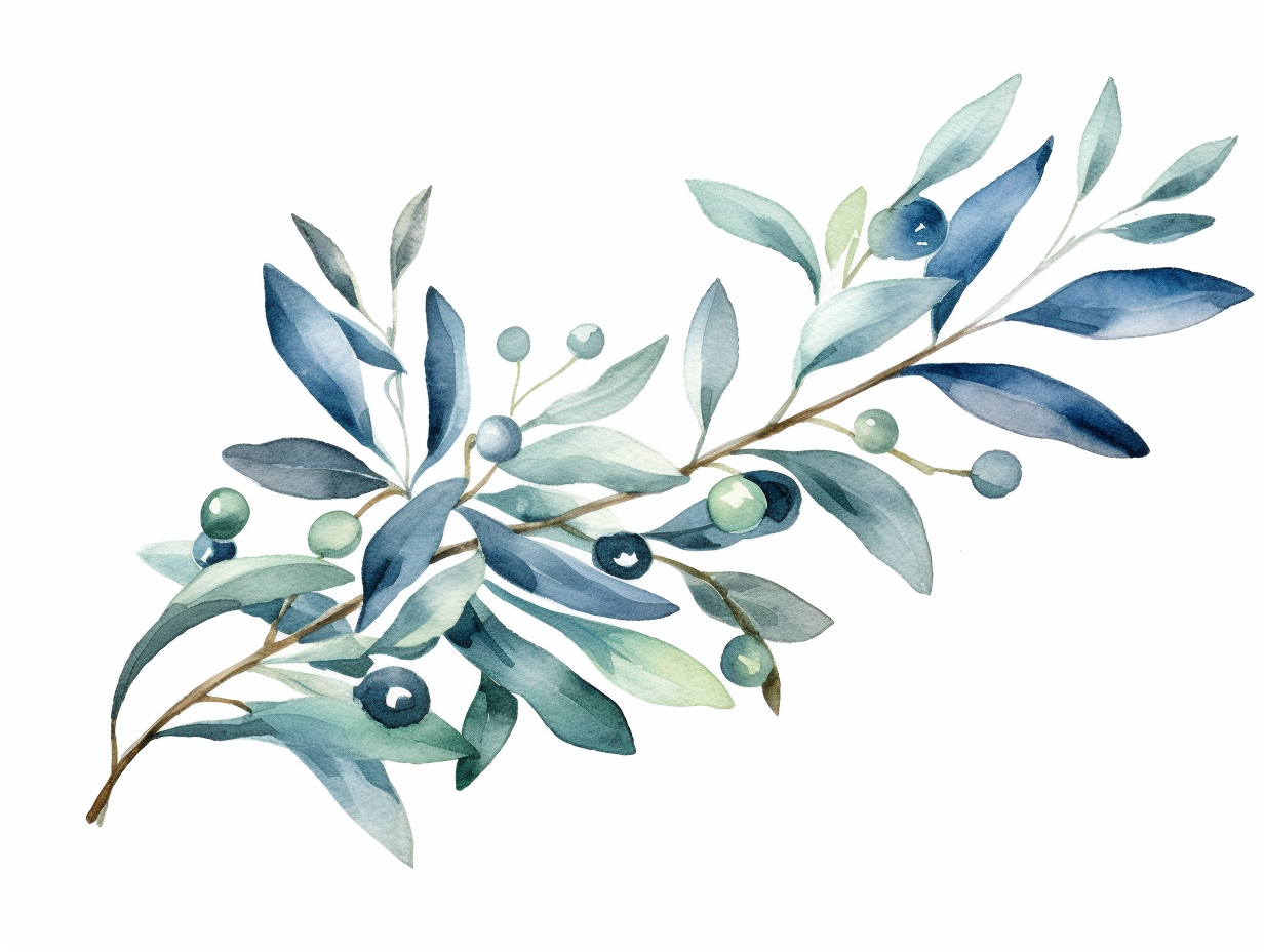 olive branch clipart