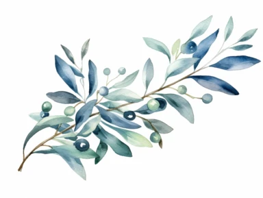 watercolor clipart high detailed teal olive branch on white background