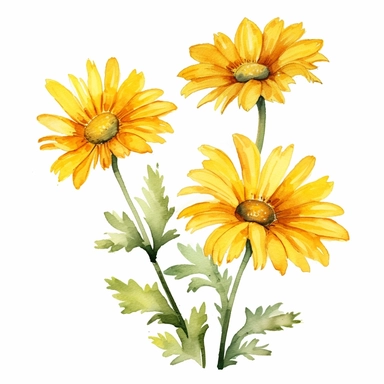 yellow daisies flower clipart, water color