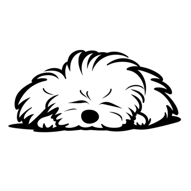 simple monochrome outline of a sleeping Maltese dog, cute, clipart