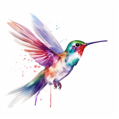 humming bird, water color style, clipart, white background