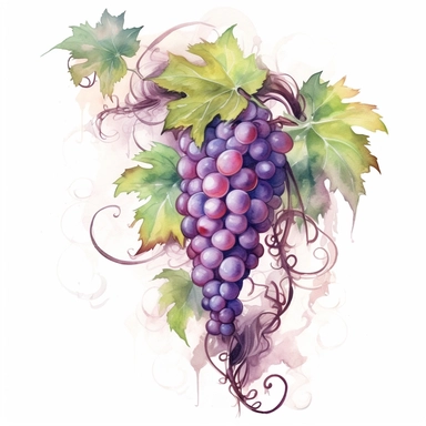 Fantasy Style Grapevines with watercolor effect,grapwines and grapes,suitable for digital clipart,white background,Mythologic Scene