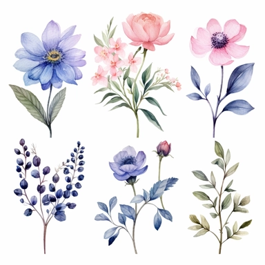 unique watercolor, handpainted floral clipart, transparent background, 6 elements evenly spaced out by 1 inches
