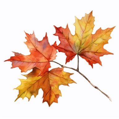 clipart, maple leaf branch abundant,details,watercolor