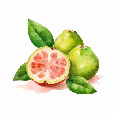 on white background cute and vibrant clipart featuring guava in watercolor style, hyper realistic photo flat color
