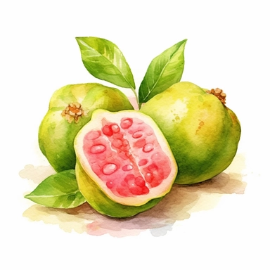 Guava logo watercolor,simple Watercolor, hyper realistic, white background, white margins, 16k, ultra detailed clipart, cut out image, hand - drawn, whimsical manhwa style, ultra HD, sharp and clean art