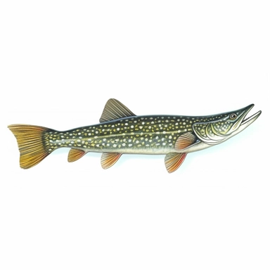 northern pike fish, isolated in white, white background with no external elements or shadows, isolated clipart figure, gorgeous colorful 3D Render