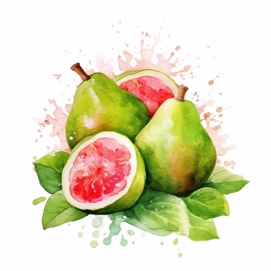 Guava logo watercolor,simple Watercolor, hyper realistic, white background, white margins, 16k, ultra detailed clipart, cut out image, hand - drawn, whimsical manhwa style, ultra HD, sharp and clean art