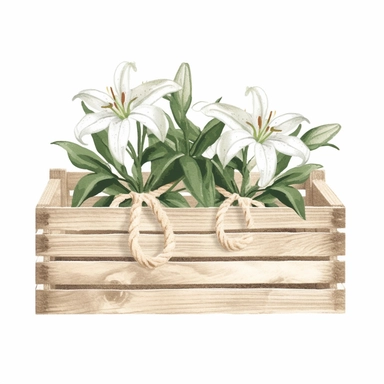 casablanca lilies in a trendy modern light wood crate with jute ropes, detailed realistic watercolor illustration, white background clipart