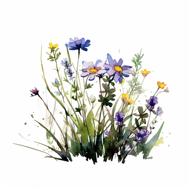 clean minimalistic wildflowers watercolor flower painting, in the style of watercolor landscapes, romantic and nostalgic themes, highly detailed and defined brush strokes of each stalk and grass and buds skillful clipart clean white background high contrast 16k resolution dark outlines