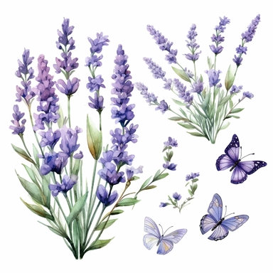 Watercolor Lavender Garden Clipart, lavender boarder