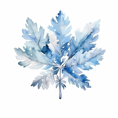 Clipart watercolor, cute boho, blue icy tones | Theme: Snowflakes, frozen leaves, on a white background with a margin, drawing with watercolors , thing related to newborn, minimalistic, adorable, shabby chic