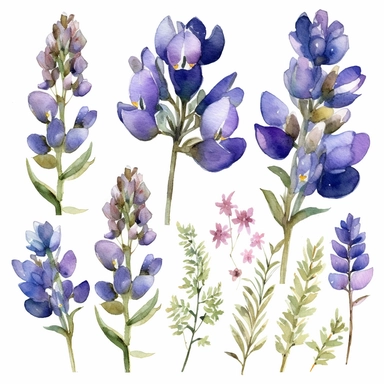 Watercolor Lupine Clipart - floral bluebonnet flowers and bouquets