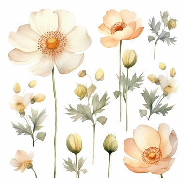 Watercolour clipart white color variations, burnet rose blossom, vintage effect, high quality, soft and muted colours, bright white background, 8k, f1